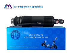 Tech Master TMAIRSUS Máy hấp thụ giật thủy lực cho Mercedes SL-Class R230 2303200213