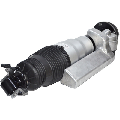 Máy hút sốc treo không khí ô tô 2403202013 2403201013 Máy hút sốc phía trước bằng thắt không khí cho W240 2003-2012