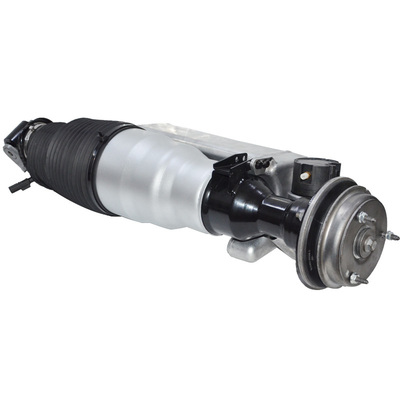 Máy hút sốc treo không khí ô tô 2403202013 2403201013 Máy hút sốc phía trước bằng thắt không khí cho W240 2003-2012