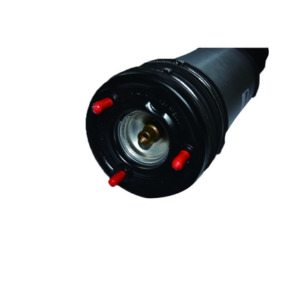 Phụ tùng ô tô Bộ giảm xóc không khí cho phía sau Mercedes - Benz W220 OEM 2203202338