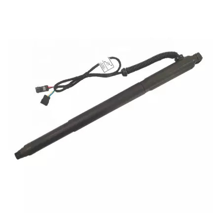 Phụ tùng ô tô Hệ thống treo khí lò xo cho BMW E71 Power Liftgate 51247332697 D2805L Đuôi ga Strut Spring