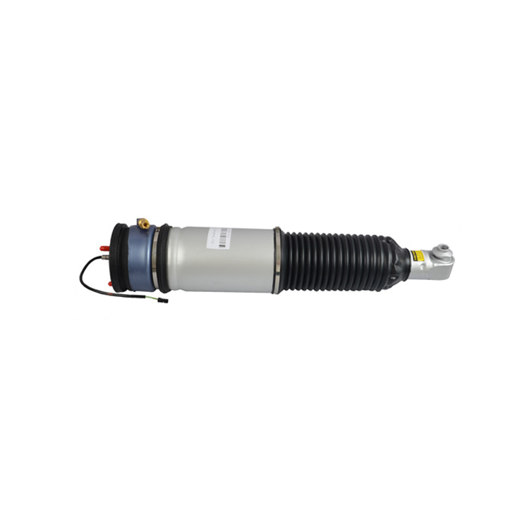 37126785535 37126785536 Phía sau cho BMW E65 E66 W/EDC Hệ thống giảm xóc thanh chống giảm xóc