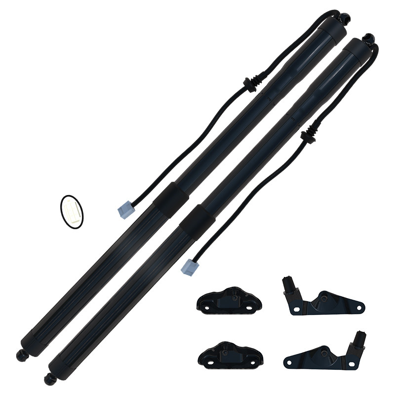 Điện Gas Springs Power Lift Gate Tailgate Strut 6891009130