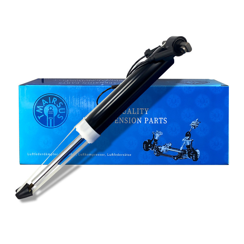 OEM Spec Air Shock Suspension / Car Air Shock Absorber cho Lincoln MKT Vị trí phía sau bên phải