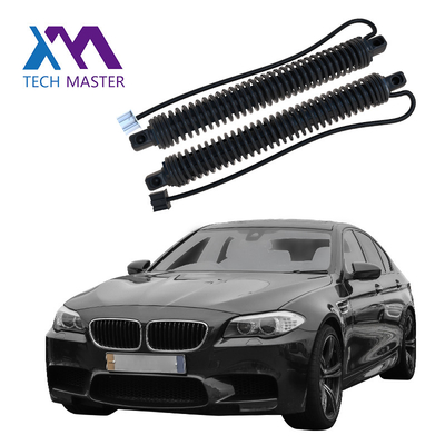 51247207009 51247207010 Phụ tùng ô tô Cổng nâng điện Cổng sau điện cho BMW 5series F10 F18 2011-2016 LH RH