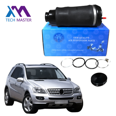 1643206013 Lò xo treo khí nén dành cho Mercedes Benz ML - Class GL - Mặt trước lớp W164 X164