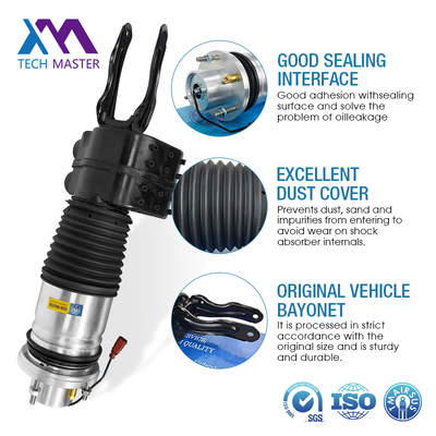2021 chất lượng cao AIr treo cú sốc PAD616037 9J0616037C 9J1616037E phía trước trái và phải cho Audi Etron GT Porsche Taycan